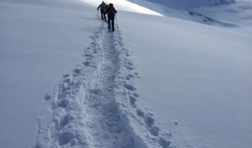 Ankogel téli túra
