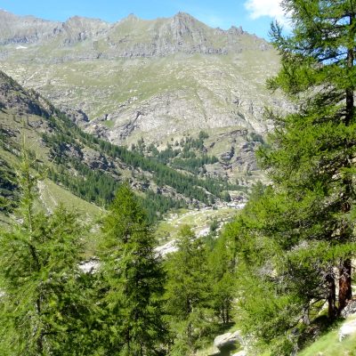 Gran Paradiso túra (4061m) - Az első 4000-esed