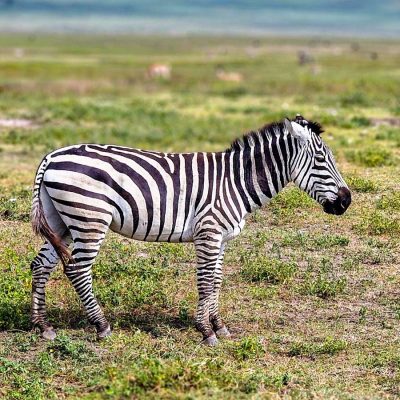 MountainGo Kilimandzsáró Túra Kisokos