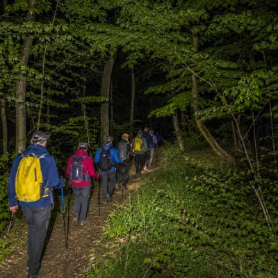 Black Friday: Éjszakai túra a Börzsönyben – Csóványos