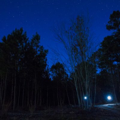 Black Friday: Éjszakai túra a Börzsönyben – Csóványos