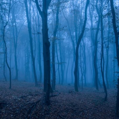 Black Friday: Éjszakai túra a Börzsönyben – Csóványos