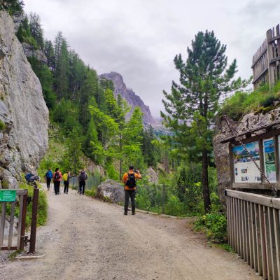 Nyári magashegyi talpaló - Lienzi-Dolomitok