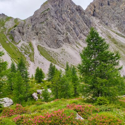 Nyári magashegyi talpaló - Lienzi-Dolomitok