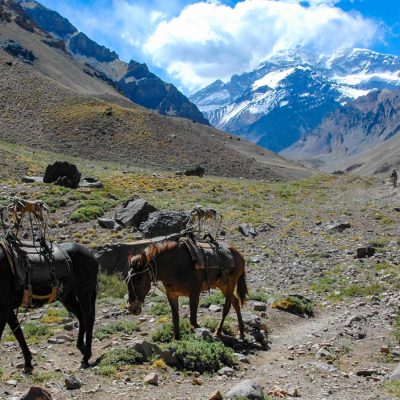 Aconcagua (6963m) expedíció - Dél-Amerika csúcsa