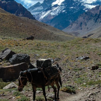 Aconcagua (6963m) expedíció - Dél-Amerika csúcsa