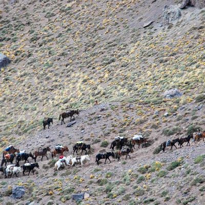 Aconcagua (6963m) expedíció - Dél-Amerika csúcsa