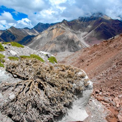 Aconcagua (6963m) expedíció - Dél-Amerika csúcsa