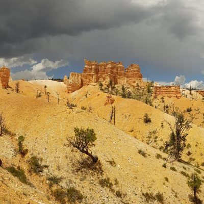 USA Nyugat – Yosemite, Grand Canyon, Zion és a vadnyugat nemzeti parkjai