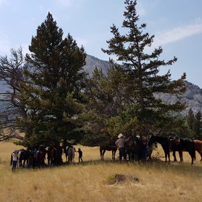 USA Nyugat – Yosemite, Grand Canyon, Zion és a vadnyugat nemzeti parkjai