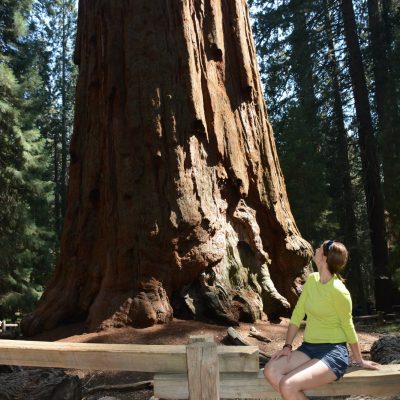 USA Nyugat – Yosemite, Grand Canyon, Zion és a vadnyugat nemzeti parkjai