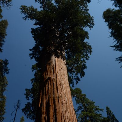 USA Nyugat – Yosemite, Grand Canyon, Zion és a vadnyugat nemzeti parkjai