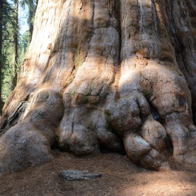 USA Nyugat – Yosemite, Grand Canyon, Zion és a vadnyugat nemzeti parkjai