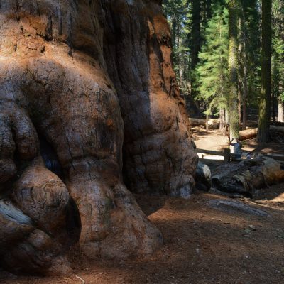 USA Nyugat – Yosemite, Grand Canyon, Zion és a vadnyugat nemzeti parkjai