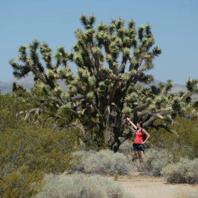 USA Nyugat – Yosemite, Grand Canyon, Zion és a vadnyugat nemzeti parkjai