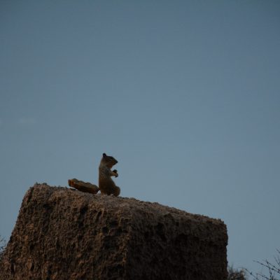 USA Nyugat – Yosemite, Grand Canyon, Zion és a vadnyugat nemzeti parkjai