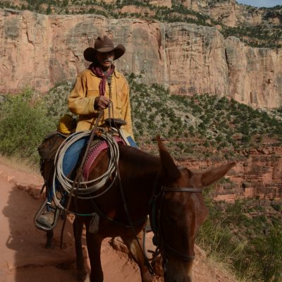 USA Nyugat – Yosemite, Grand Canyon, Zion és a vadnyugat nemzeti parkjai