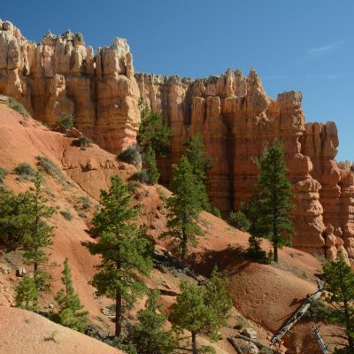 USA Nyugat – Yosemite, Grand Canyon, Zion és a vadnyugat nemzeti parkjai