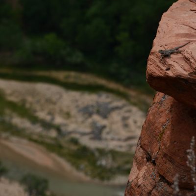 USA Nyugat – Yosemite, Grand Canyon, Zion és a vadnyugat nemzeti parkjai