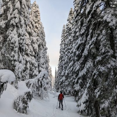 Vepor-hegység – túra az Ipoly forrásvidékén